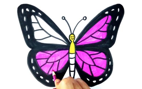 عکس نقاشی گربه رنگ شده