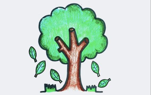 عکس نقاشی گربه رنگ شده